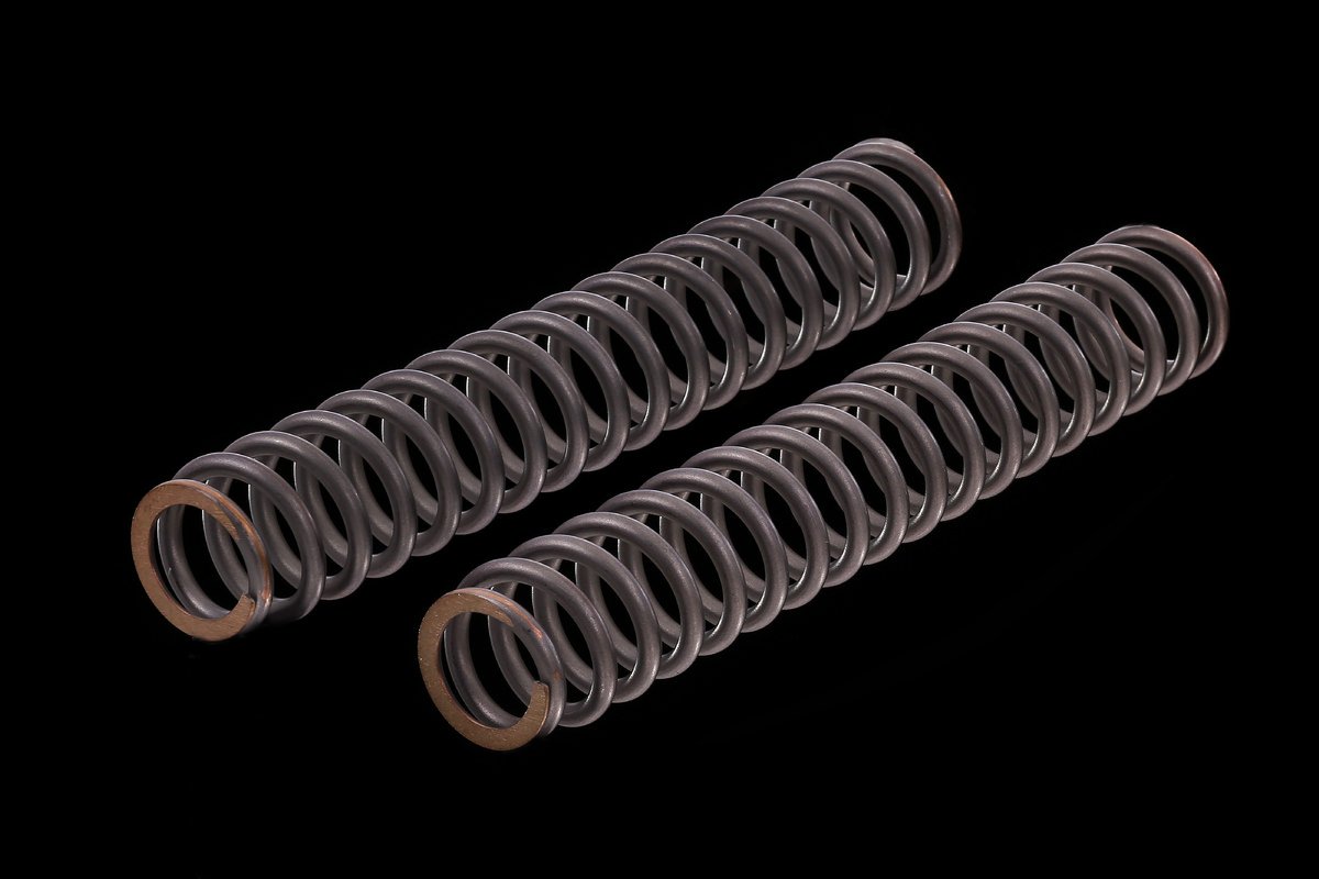 ÖHLINS - Fork Springs (08419-10)