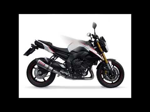 GPR-Exhaust---Trioval-Slip-on-for-FZ-8-from-2010-to-2016-dB-Killer-Link-Pipe