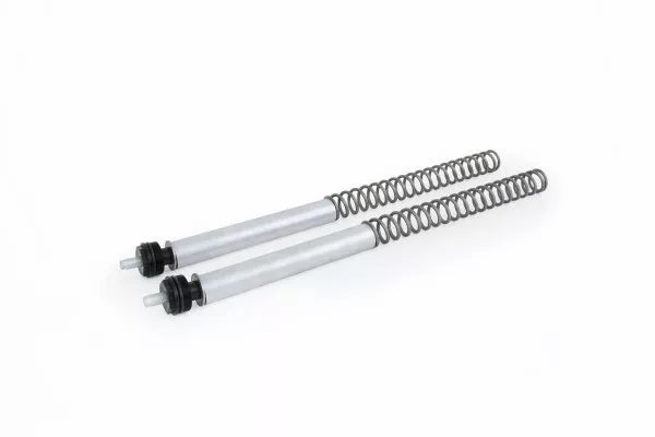 ÖHLINS - Street Fork Spring Kit (FSK 119)