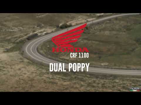 GPR-Exhaust---Dual-Poppy-Slip-on-for-CRF-1100-L-Africa-TWIN-from-2020-to-2025-dB-Killer-Link-Pipe
