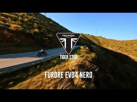 GPR-Exhaust---Furore-Evo4-Nero-Slip-on-for-Tiger-1200-GT-Rally-from-2022-to-2024-dB-Killer-Link-Pipe