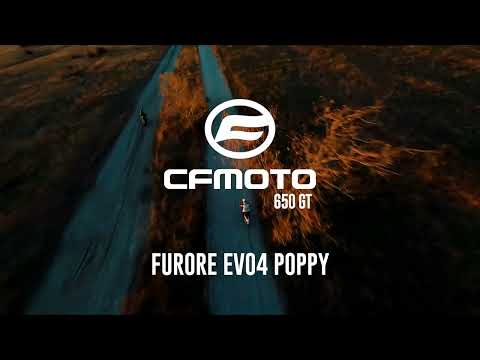 GPR-Exhaust---Furore-Poppy-RACING-Slip-on-for-650-GT-from-2022-to-2024-Link-Pipe-Dbkiller