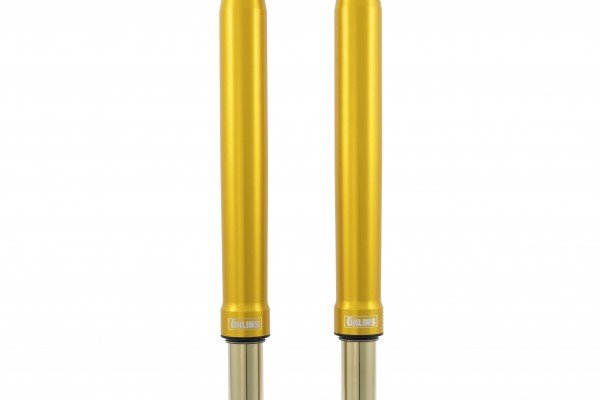 ÖHLINS -  Hypersport Superbike Fork (FGR 250)
