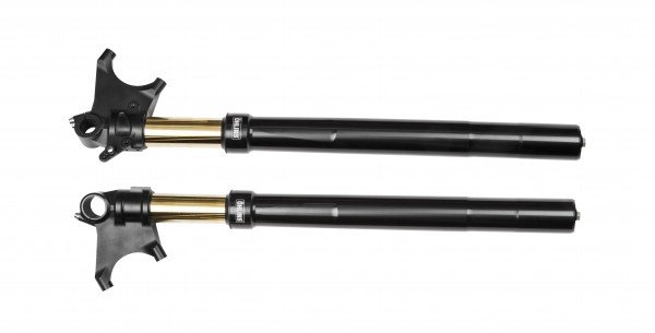 ÖHLINS -  Street R&T 48 Fork (FGRT 301)
